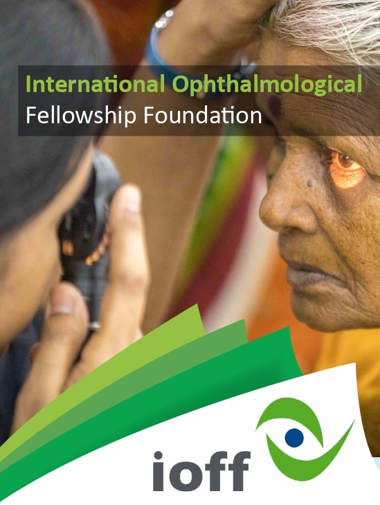 1881IOFF Subspe Fellowships Program Flyer eng_page-0000.jpg